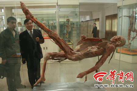 特色立校 造就大学生就业绿色通道